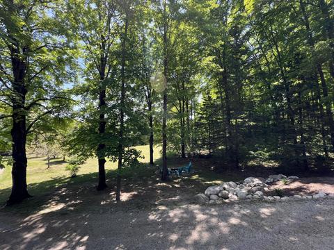 3156 Webb Rd, Wolverine, MI 49799 photo 23