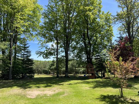 3156 Webb Rd, Wolverine, MI 49799 photo 5