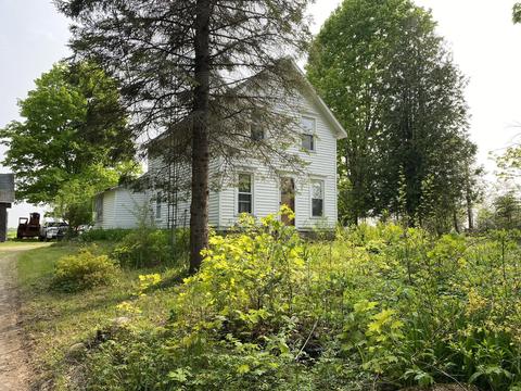7823 Metzke Rd, Alpena, MI 49707