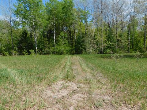 10877 S Old 27 Frederic Mi 49733, Frederic, MI 49733