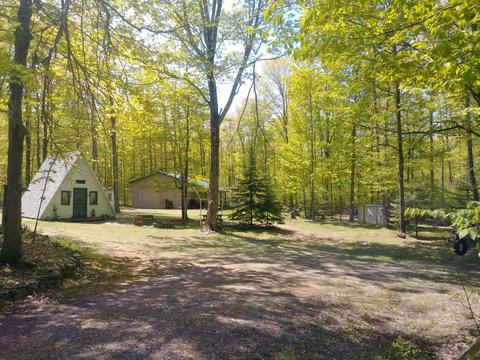 1655 Swamp Trail Afton Mi 49705 Trl, Afton, MI 49705