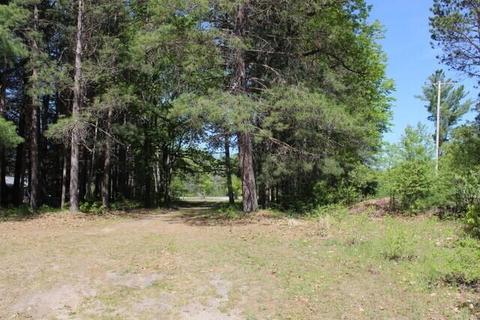 11536 N Old 27, Frederic, MI 49733 photo 9