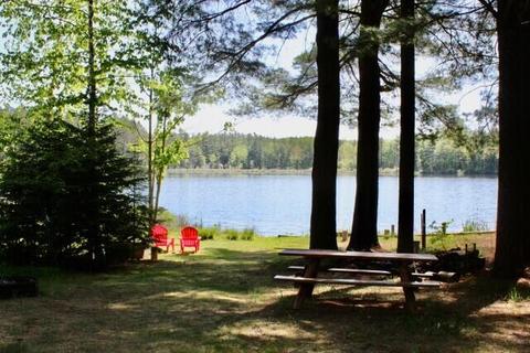 11536 N Old 27, Frederic, MI 49733 photo 3