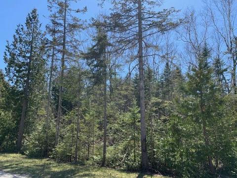 lot S 3940 Misty Morn Court Presque Isle Mi 49777 Ct, Presque Isle, MI 49777
