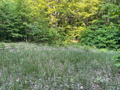Trail 21, Mancelona, MI 49659
