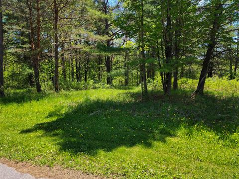 1202 Rivers Ridge Court Cheboygan Mi 49721 Ct, Cheboygan, MI 49721
