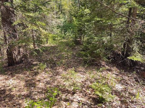 beach road LOT S 24, Rogers City, MI 49779