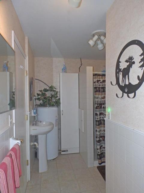 5849 N Ball Avenue Harrison Mi 48625 Ave, Harrison, MI 48625 photo 16