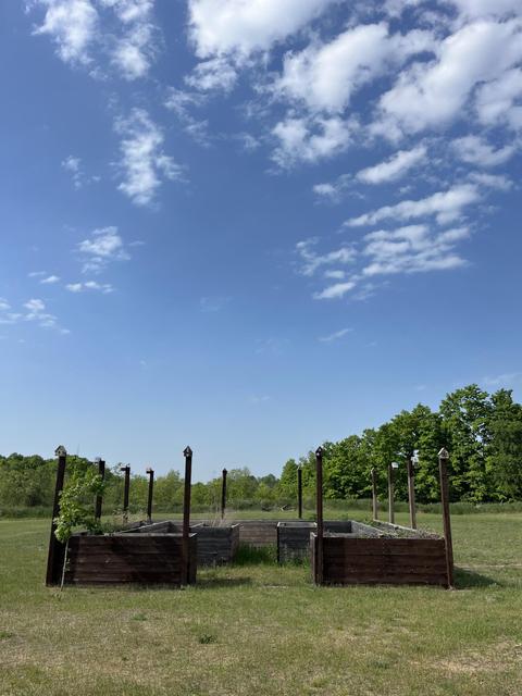 10849 Lewis Road Vanderbilt Mi 49795 Rd, Vanderbilt, MI 49795 photo 20
