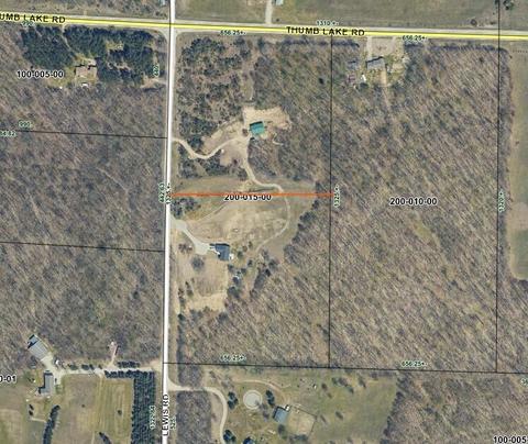 10849 Lewis Road Vanderbilt Mi 49795 Rd, Vanderbilt, MI 49795 photo 21