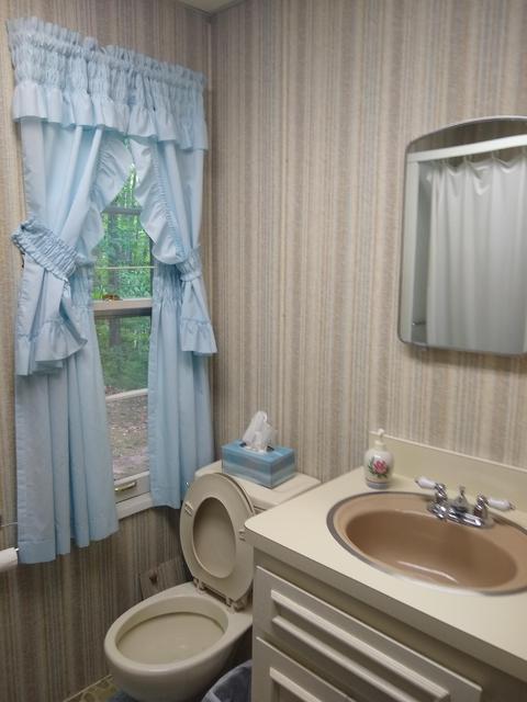 317 Bunny Dr, Mio, MI 48647 photo 7