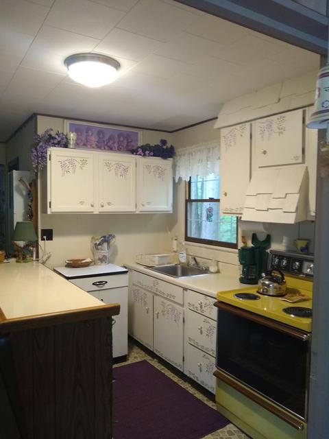 317 Bunny Dr, Mio, MI 48647 photo 6