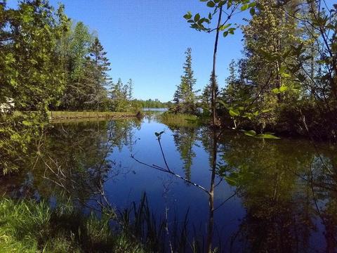 Nhn Outer Drive, Presque Isle, MI 49777
