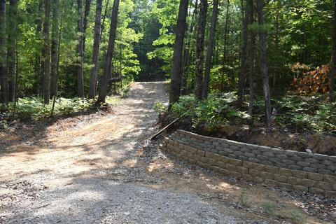 16420 Timber Line Dr, Wolverine, MI 49799 photo 7