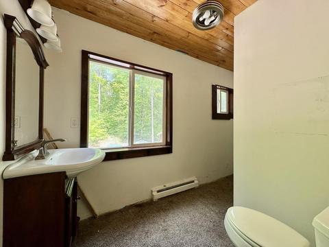 1341 Sugar Maple Trl, Vanderbilt, MI 49795 photo 11