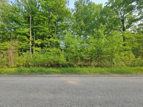 174 Birchdale Drive Johannesburg Mi 49751 Dr, Johannesburg, MI 49751