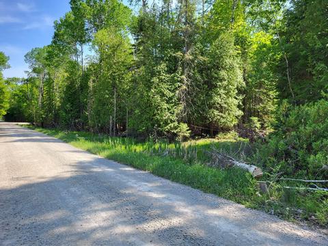 Bloom/north Point, Alpena, MI 49707