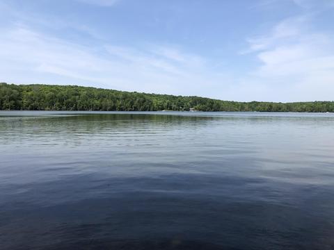 E Munro Lake Drive, Levering, MI 49755
