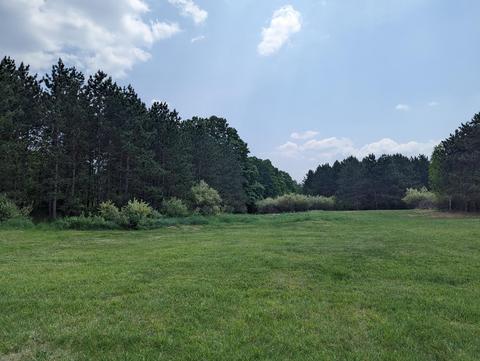 2594 Campbell Rd, Comins, MI 48619 photo 70