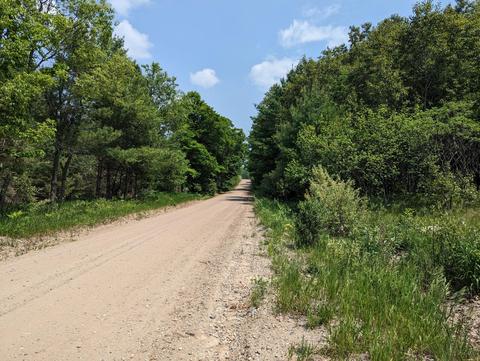 2594 Campbell Rd, Comins, MI 48619 photo 54