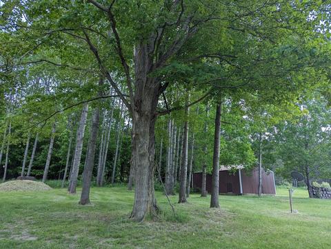 2594 Campbell Rd, Comins, MI 48619 photo 67