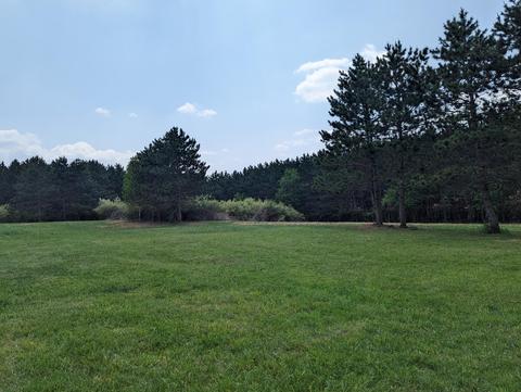 2594 Campbell Rd, Comins, MI 48619 photo 71