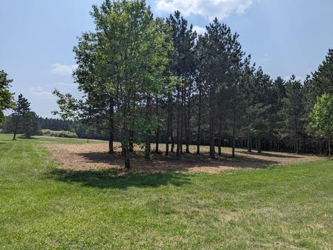 2594 Campbell Rd, Comins, MI 48619 photo 57