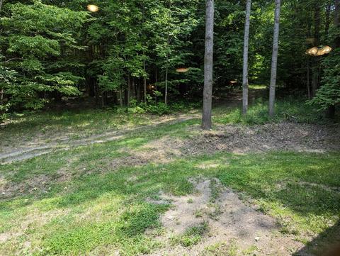 2594 Campbell Rd, Comins, MI 48619 photo 52