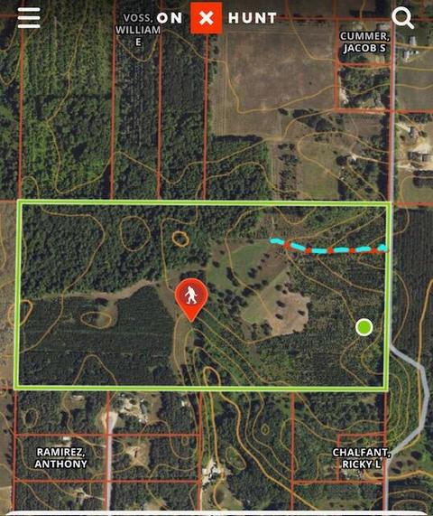 7520 Hudson Rd, South Boardman, MI 49680