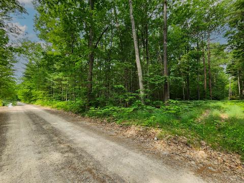 E Grand Boulevard, Topinabee, MI 49791