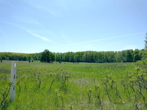 tbd Ottawa Trail 10 Acres Brutus Mi 49716 Trl #10 ACRES, Brutus, MI 49716