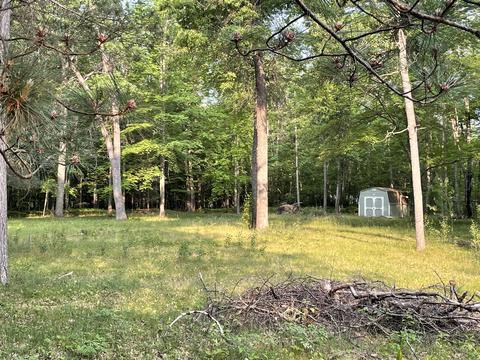Vl Homecrest, Houghton Lake, MI 48629
