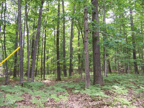 lot S 20-23 Boucher Canton Street And Lots 28-31 Roscommon Mi 48653 St #AND S 28-31, Roscommon, MI 48653