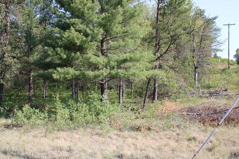 800 Mckinley Rd, Mio, MI 48647 photo 4