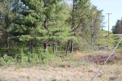 800 Mckinley Rd, Mio, MI 48647 photo 5