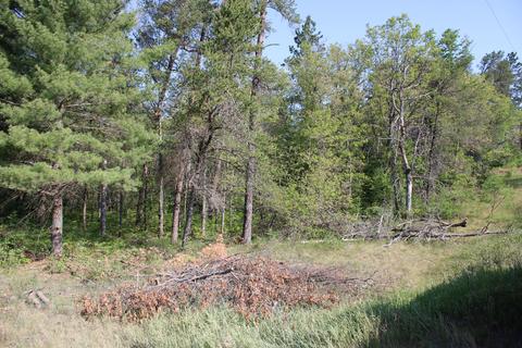 800 Mckinley Rd, Mio, MI 48647 photo 1