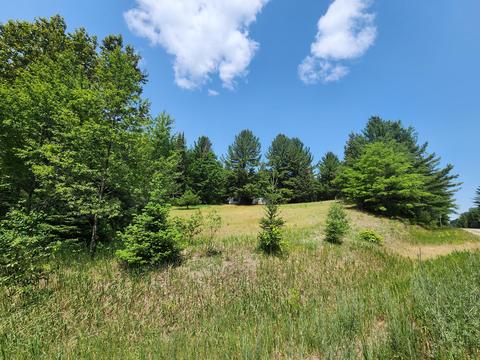 1969 E Kneeland Road Fairview Mi 48621 Rd, Fairview, MI 48621 photo 54