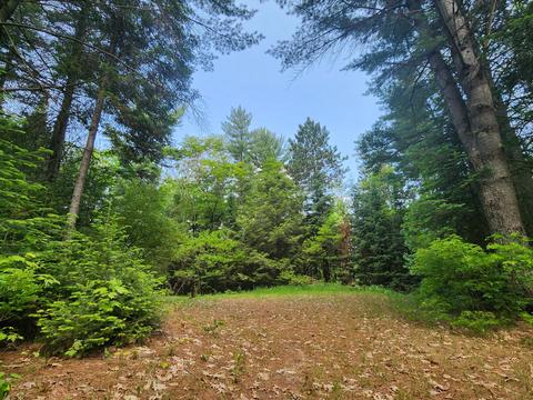 1969 E Kneeland Road Fairview Mi 48621 Rd, Fairview, MI 48621 photo 44