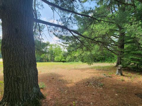 1969 E Kneeland Road Fairview Mi 48621 Rd, Fairview, MI 48621 photo 39