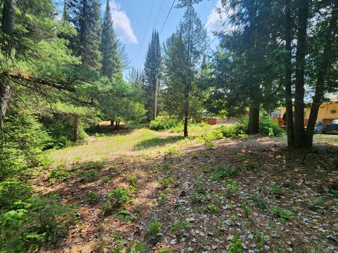1969 E Kneeland Road Fairview Mi 48621 Rd, Fairview, MI 48621 photo 28