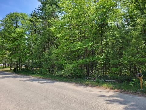Helen Drive, Grayling, MI 49738