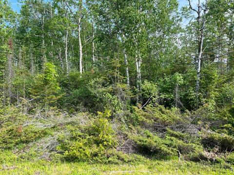 laurelhill circle LOT S 72, Presque Isle, MI 49777