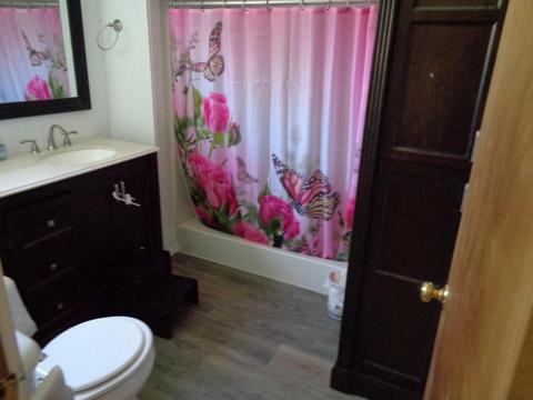 1511 Mccredie Rd, Roscommon, MI 48653 photo 6
