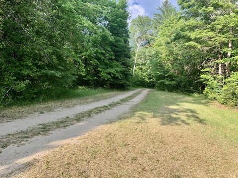 124 Bryan Drive Mio Mi 48647 Dr, Mio, MI 48647 photo 49