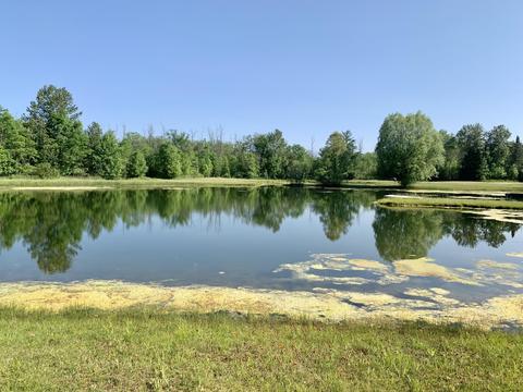 124 Bryan Drive Mio Mi 48647 Dr, Mio, MI 48647 photo 2
