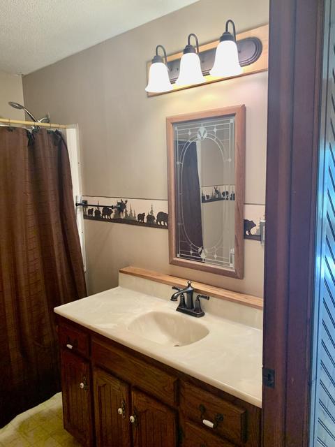 124 Bryan Drive Mio Mi 48647 Dr, Mio, MI 48647 photo 24