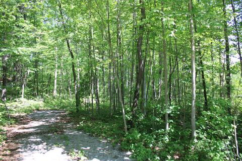 254 Penn Rd, Mio, MI 48647