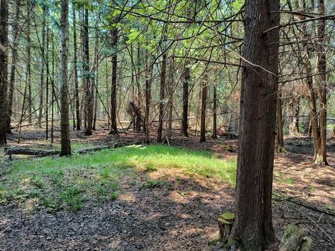 North Somers Road, Lincoln, MI 48742