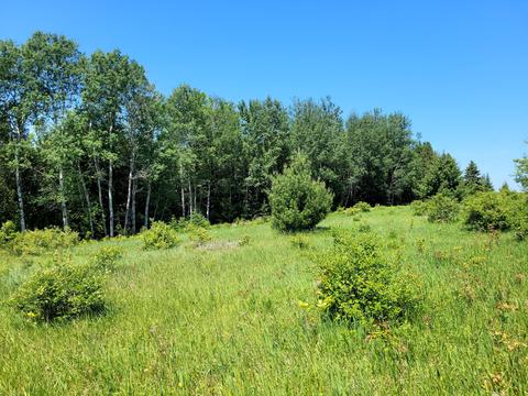 S Ocqueoc Road, Millersburg, MI 49759