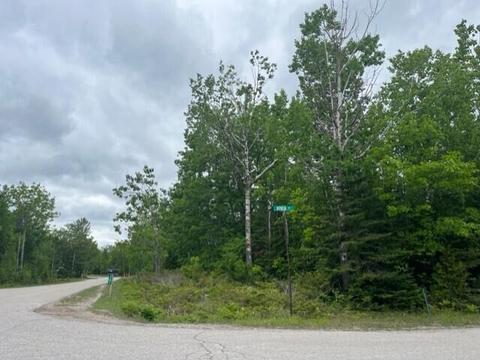 202 203 Pineview Dr, Presque Isle, MI 49777